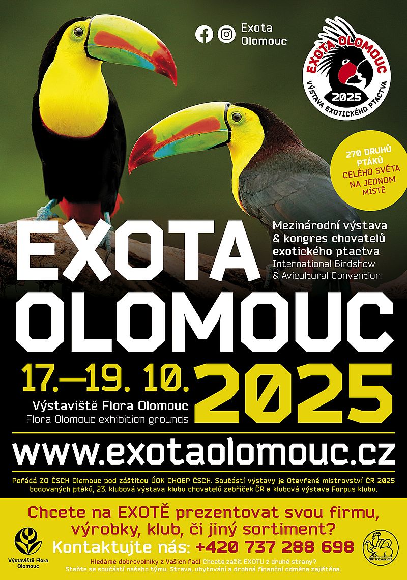 EXOTA OLOMOUC
